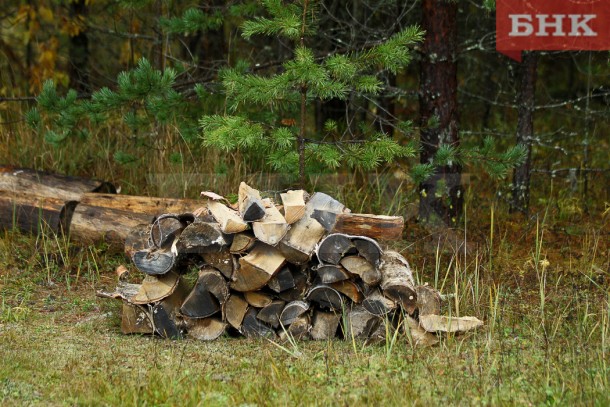 Усть-куломские чернобыльцы пожаловались на дорогие дрова