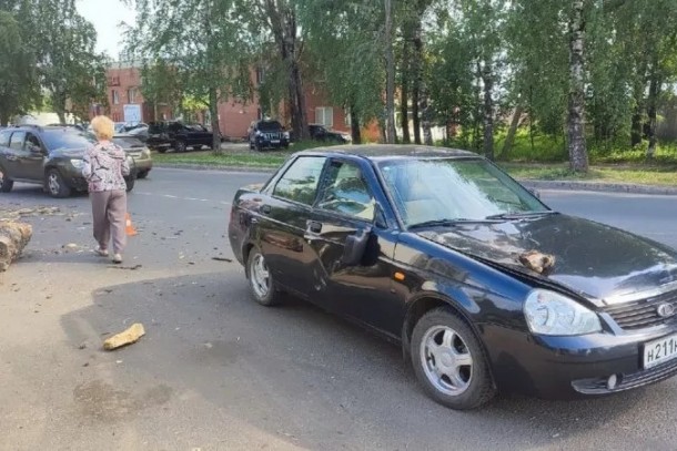 В Сыктывкаре упавшее дерево остановило автомобиль