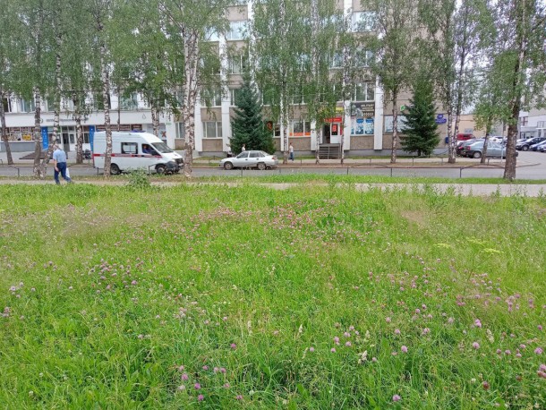 Сотрудников Минприроды Коми эвакуировали из-за сообщения о взрыве