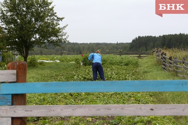 В восьми районах Коми объявлено штормовое предупреждение