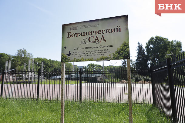 IMG_2383-kopiya.jpg IMG_2383-kopiya.jpg