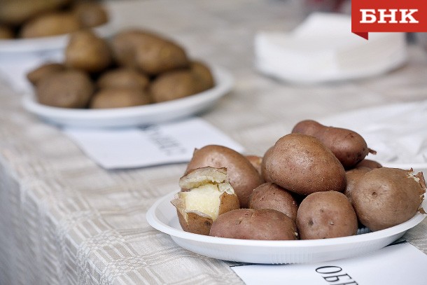 «Коми обеспечит себя экологически чистым картофелем на 100 процентов» ― Владимир Уйба