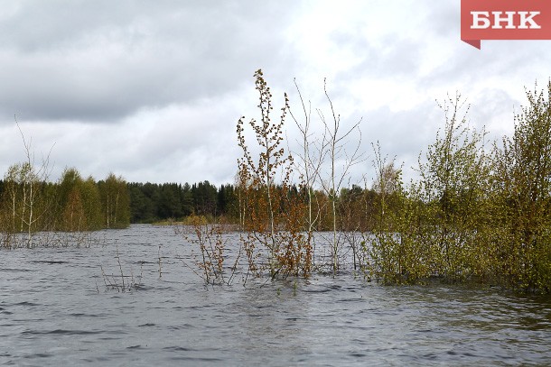 Утонувшую в Усинске девочку нашли подводной камерой