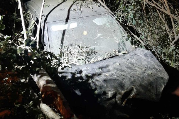 На трассе в Удорском районе любителя пьяного вождения нашли в кустах