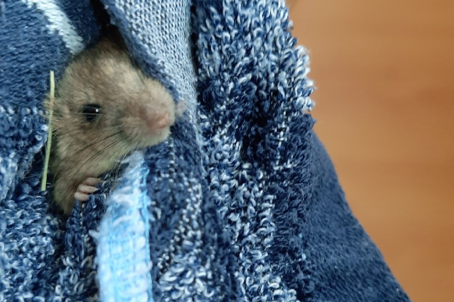 67xknVbloiGUHtPbygKSBW6NRNJ4fyDsjoxZpOx0cPebdJz62z72Cz5w7lVgeOCOa8_RvCqfv15mxU0QzitLOMhV.jpg 67xknVbloiGUHtPbygKSBW6NRNJ4fyDsjoxZpOx0cPebdJz62z72Cz5w7lVgeOCOa8_RvCqfv15mxU0QzitLOMhV.jpg