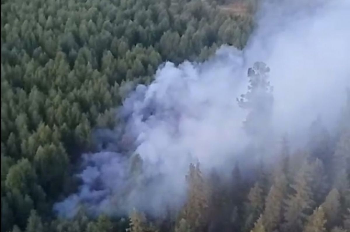 Сильный запах гари. Пожар в лесу. Горят леса. Возгорание лесного массива. Лесные пожары в России.