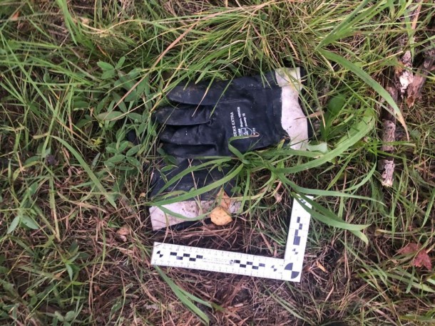 В Печоре рядом с дачами обнаружили останки человека