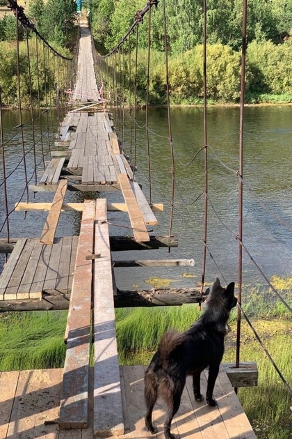 
Для восстановления моста в Усть-Ухте экстренно ищут нового подрядчика