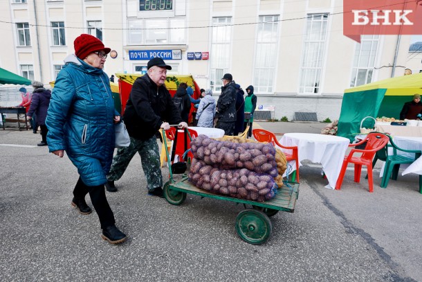 Как в Коми самозанятым «на земле» получить господдержку 