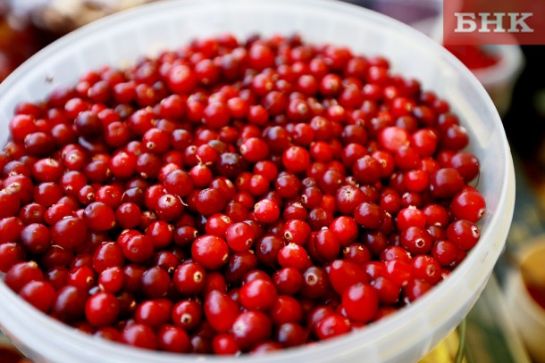 Диетолог назвал пять природных антибиотиков