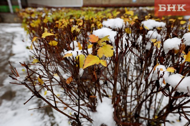 Холодный ветер, снег и около нуля: в Коми началось предзимье