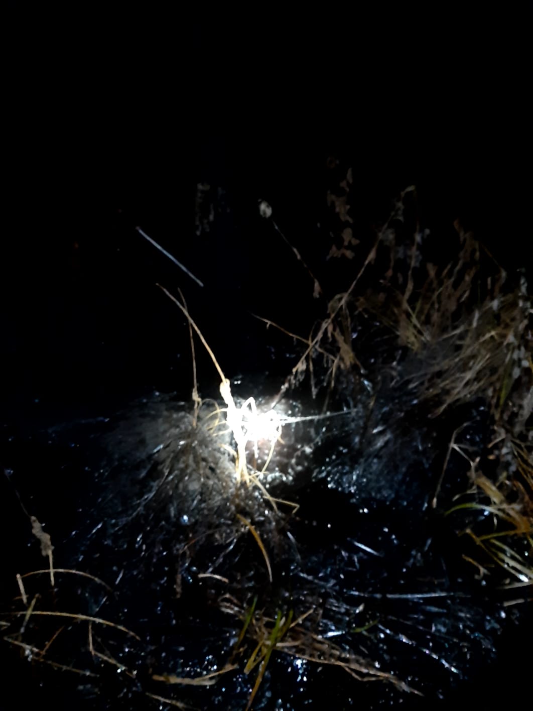 Knyagh4.jpeg Knyagh4.jpeg