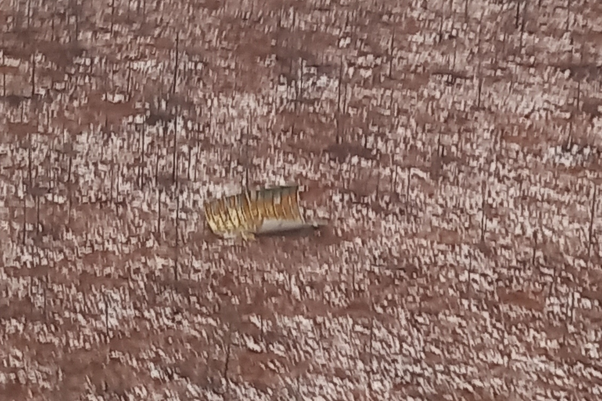 20221102_142425.jpg 20221102_142425.jpg