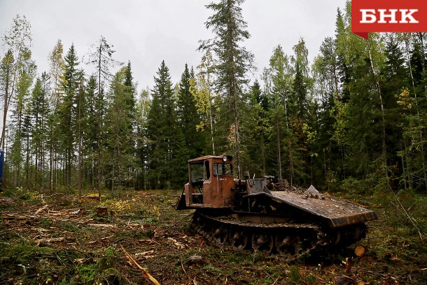 В Минприроды Коми объяснили, как появилась лесосека вблизи деревни Межег