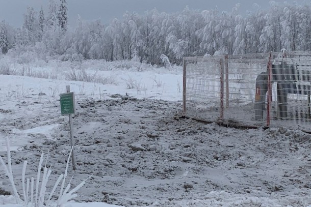 Последствия нефтеразлива на автодороге Усинск – Усть-Уса ликвидированы — Минприроды Коми