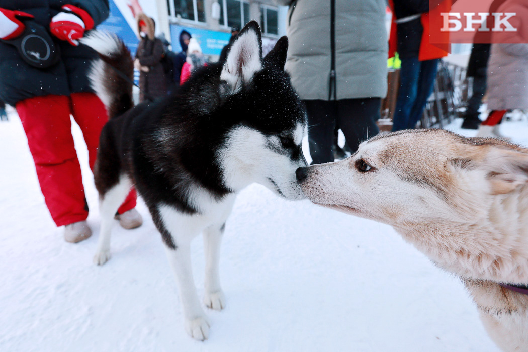 BOB_9871.jpg BOB_9871.jpg