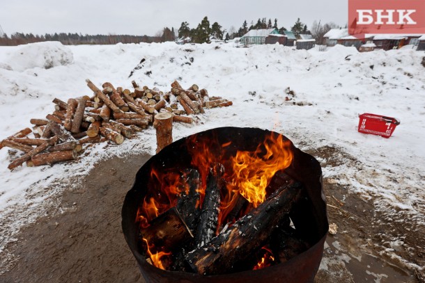 В России обновят правила сжигания мусора, листвы и установки мангалов