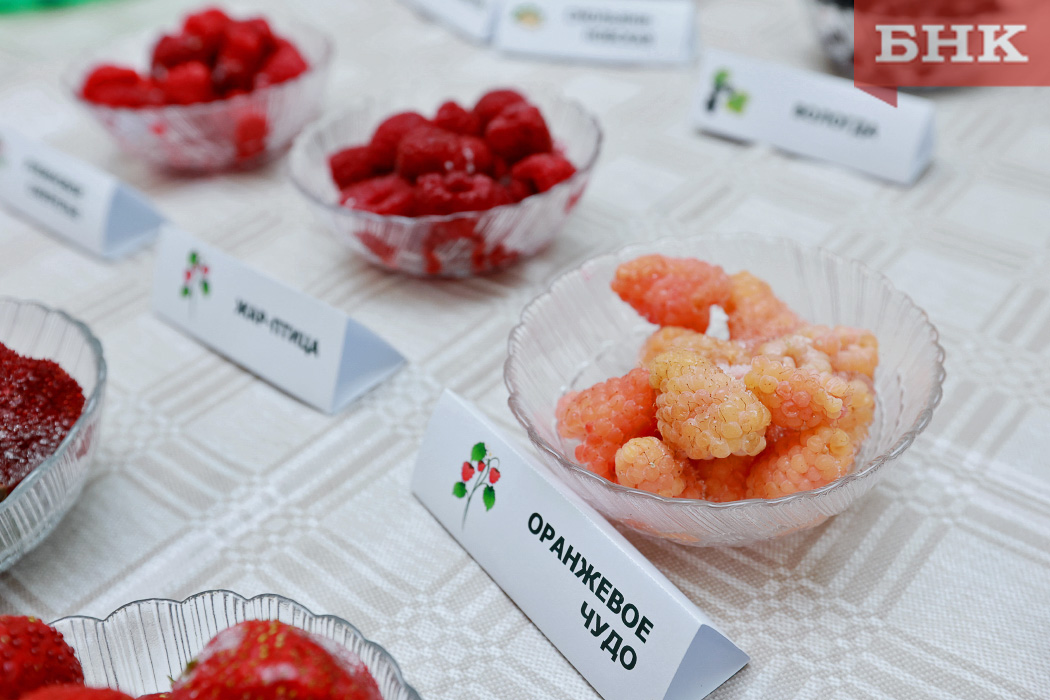 BOB_5218.jpg BOB_5218.jpg