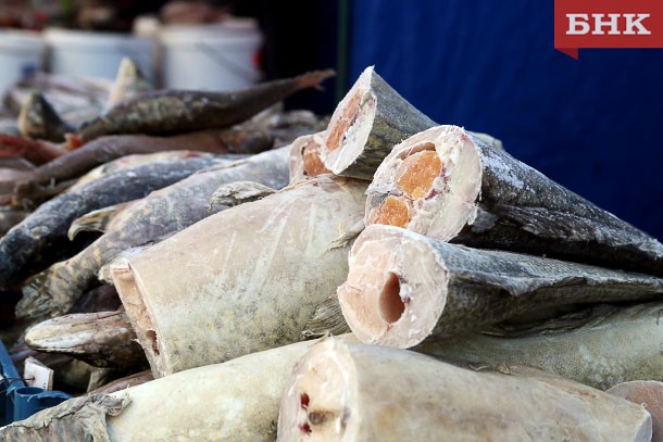 Ученый не предсказал «нашествия горбуши» в Коми