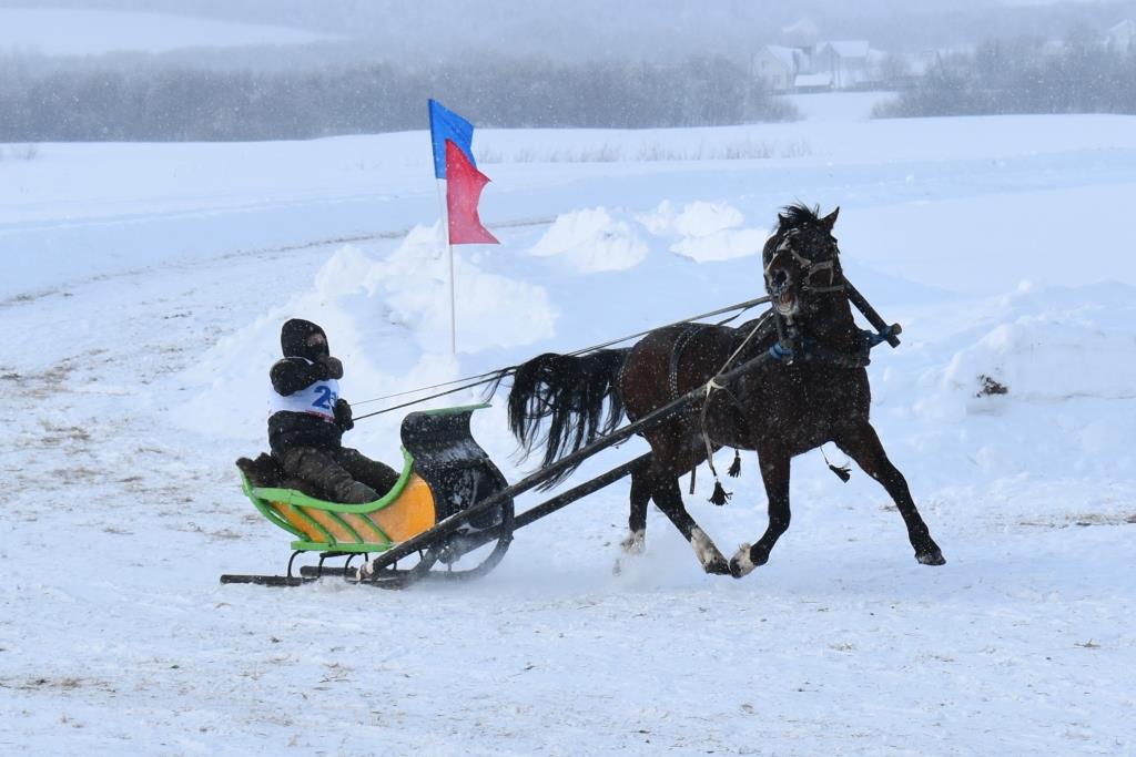 DSC_0211.jpg DSC_0211.jpg