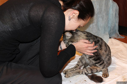 макс 3.jpg макс 3.jpg