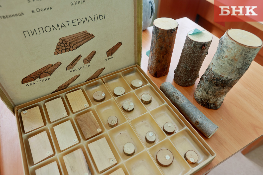 BOB_4557.jpg BOB_4557.jpg