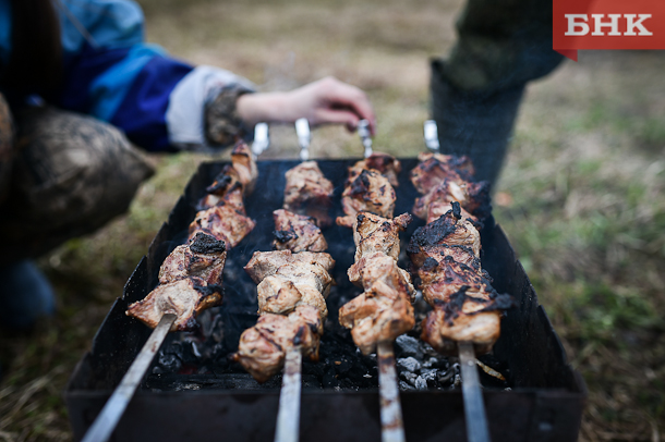 Как выбрать мясо для шашлыков