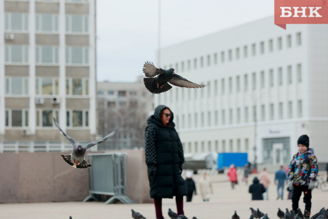 Ветер и снег с дождем снизят градус тепла в Коми « БНК