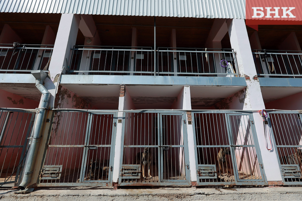 BOB_2560.jpg BOB_2560.jpg