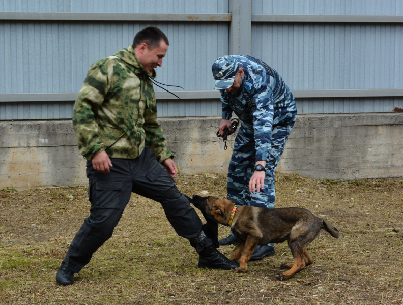 DSC_8761-800x600.jpg DSC_8761-800x600.jpg