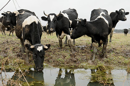 KIR_5022.jpg KIR_5022.jpg