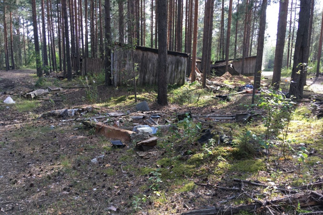 Лес в пригороде Сыктывкара очистят от ветхих и сгоревших сараев