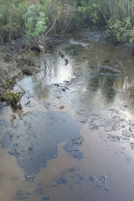 Минприроды Коми: «Нобель Ойл» отказался добровольно возмещать ущерб после разлива нефти на Колве»