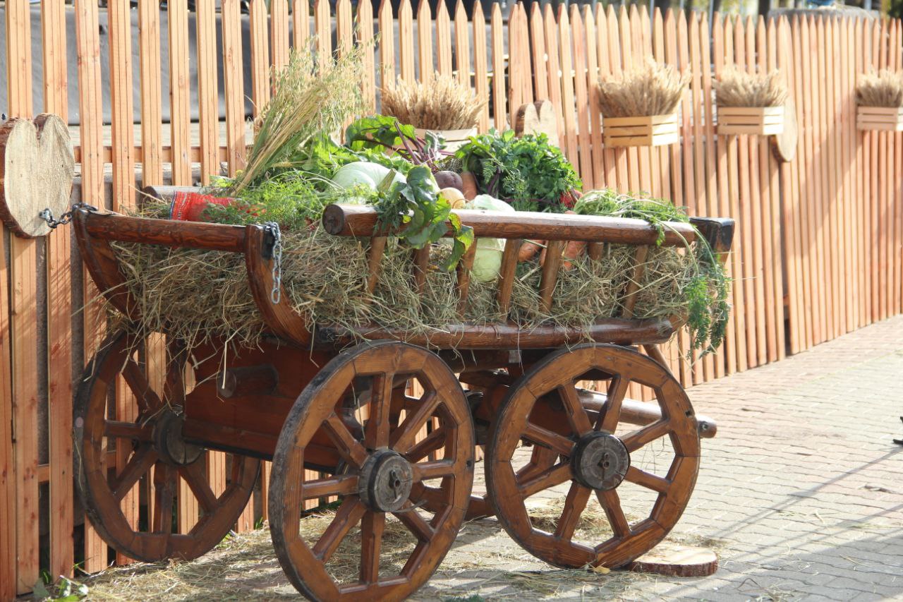 Yarmarka_04.jpg Yarmarka_04.jpg