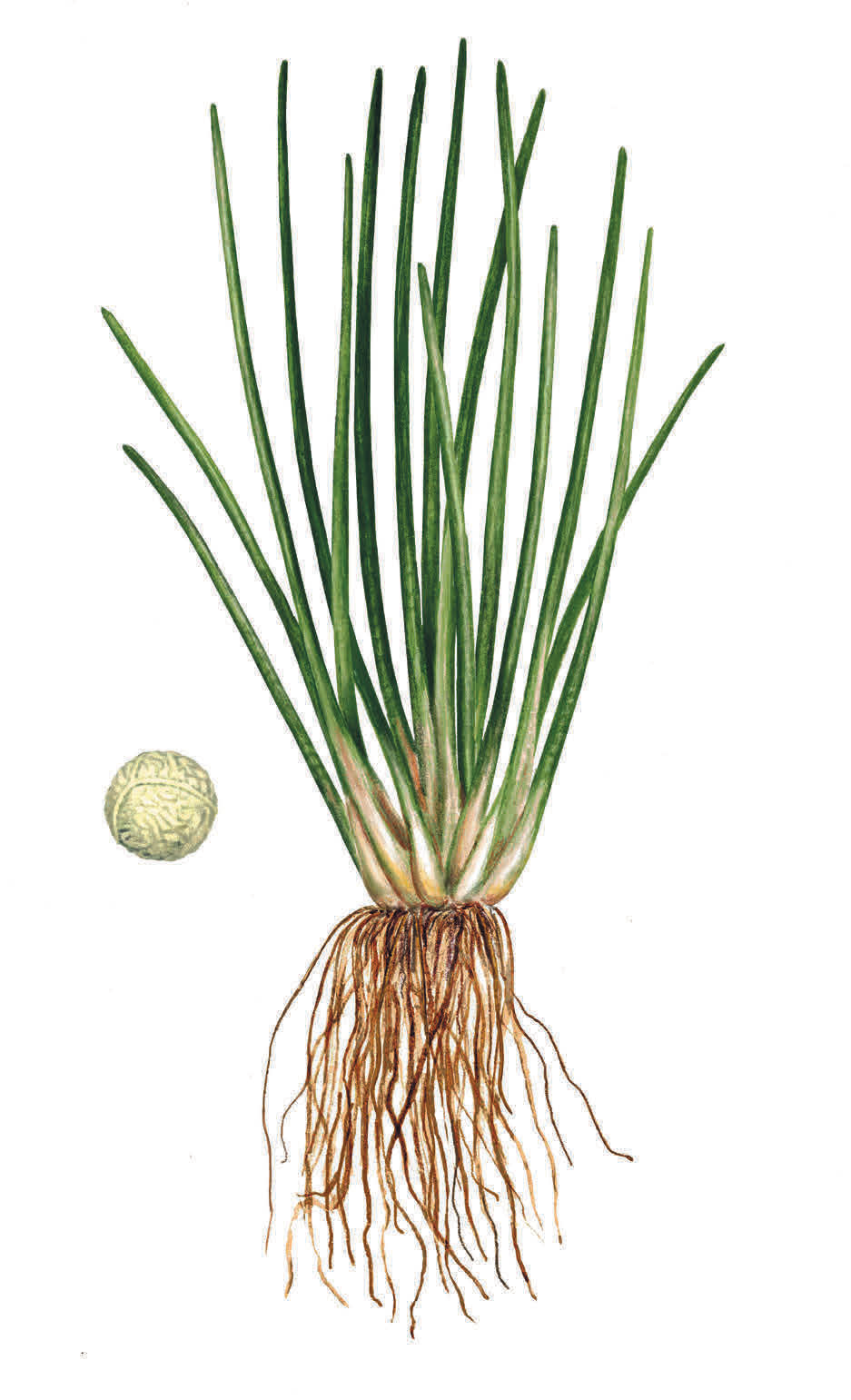 foto-s-Krasnoi-kniki-RK.png foto-s-Krasnoi-kniki-RK.png