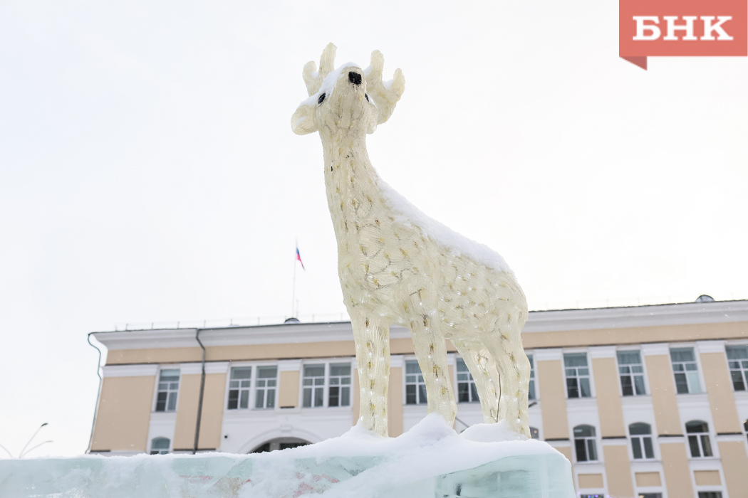 Январь в Коми будет холоднее обычного