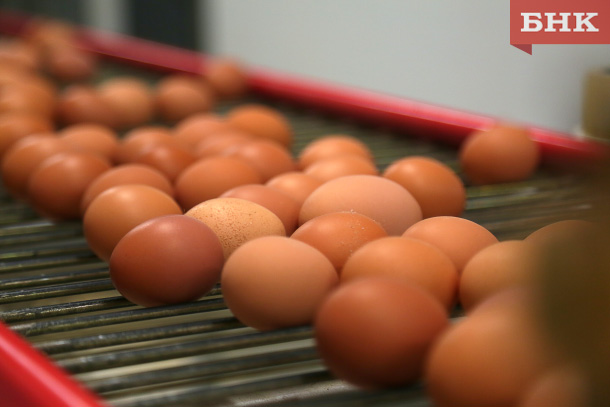 Глава Росптицесоюза сообщила, сколько должен стоить десяток яиц