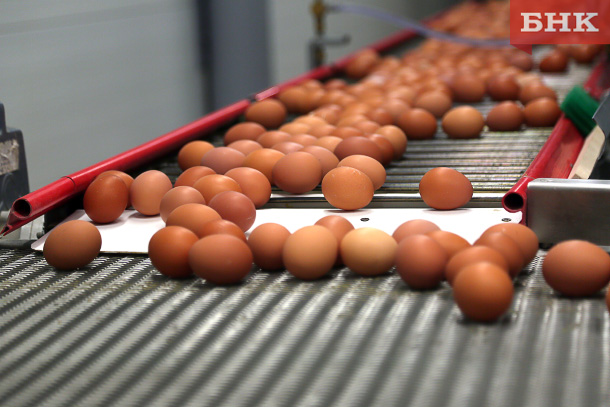 Росптицесоюз назвал цены на российские яйца одними из самых низких в мире
