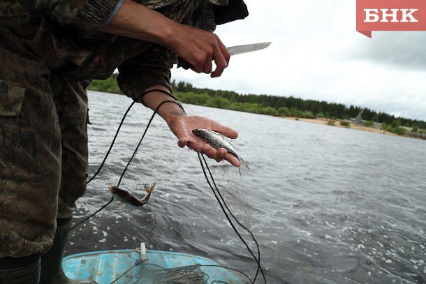  Два жителя Коми незаконно наловили рыбы на 200 тысяч рублей
