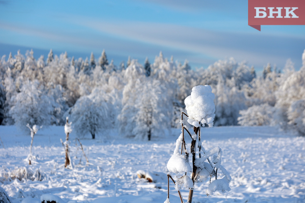 В Коми зима встретит весну 44-градусными морозами