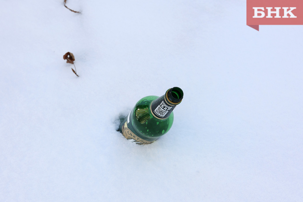 «Бесплатный» алкоголь в «Красном и Белом» привел жительницу Эжвы на скамью подсудимых