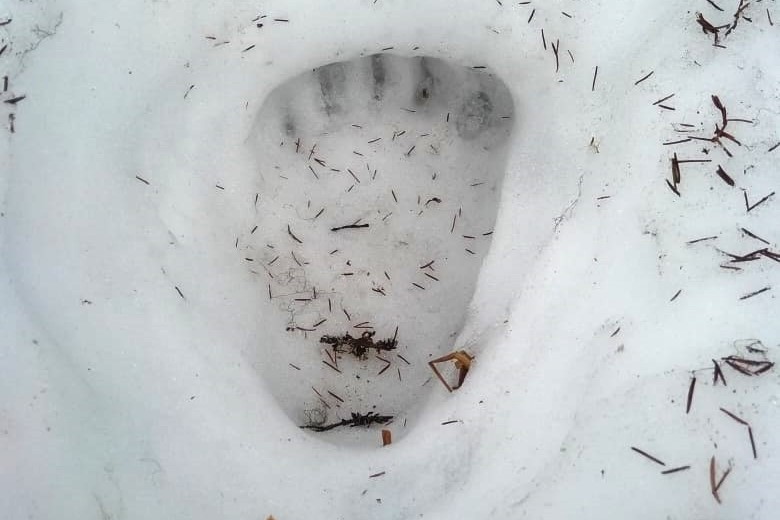 003-1.jpeg 003-1.jpeg