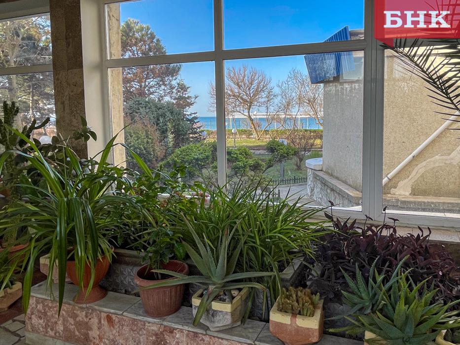 IMG_0497.jpg IMG_0497.jpg