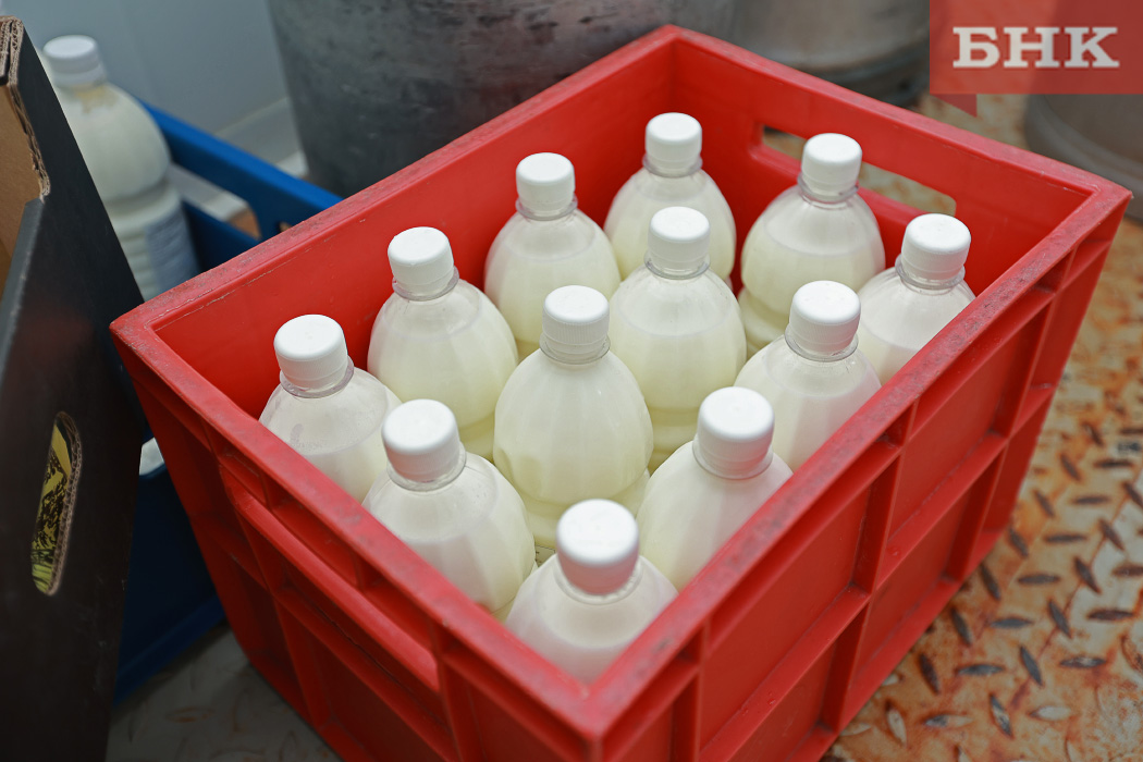 Жителям Коми рекомендовали кипятить парное молоко