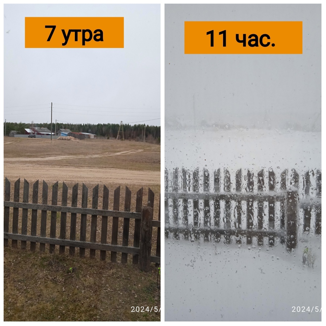 Vizindor-Sysolskii-raion-Valentina-Nekrasova.jpg