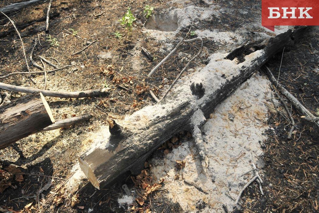 В Коми ликвидировали первые лесные пожары