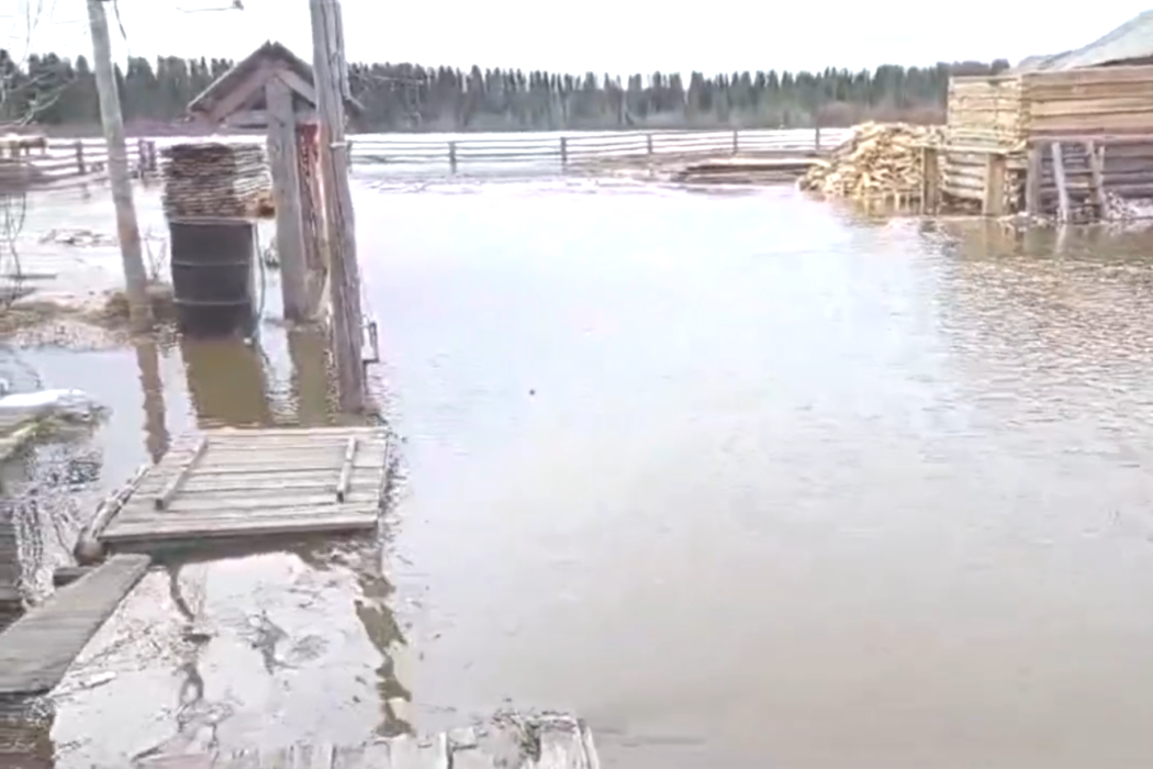 В Усть-Цилемском районе вышедшая из берегов река Пижма подтопила несколько населенных пунктов