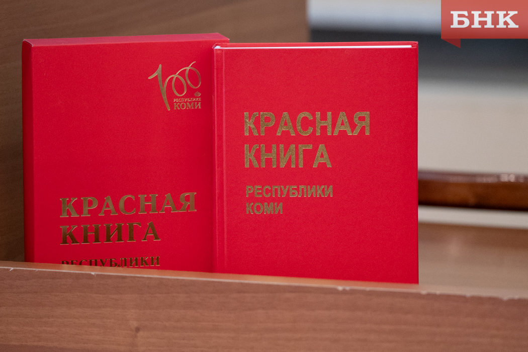 Ученые Коми исследуют редкие виды перед переизданием Красной книги