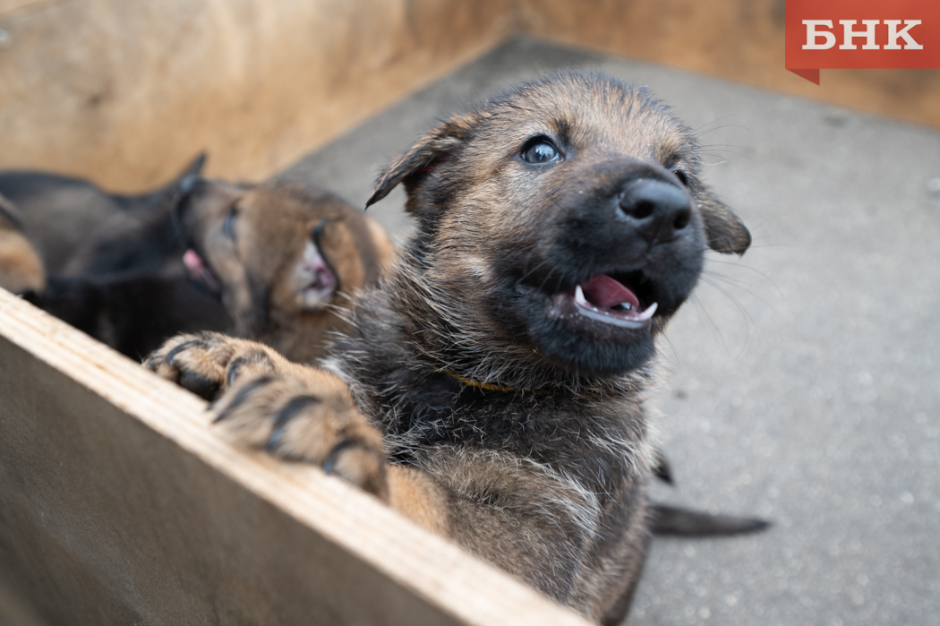 Z06_7600.jpg Z06_7600.jpg