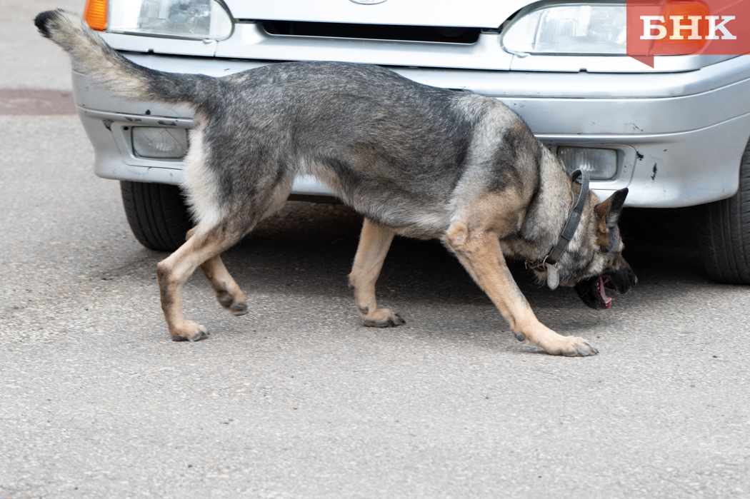 Z06_7814.jpg Z06_7814.jpg